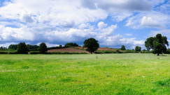 Busted! Myths About Livestock and Farmland Debunked